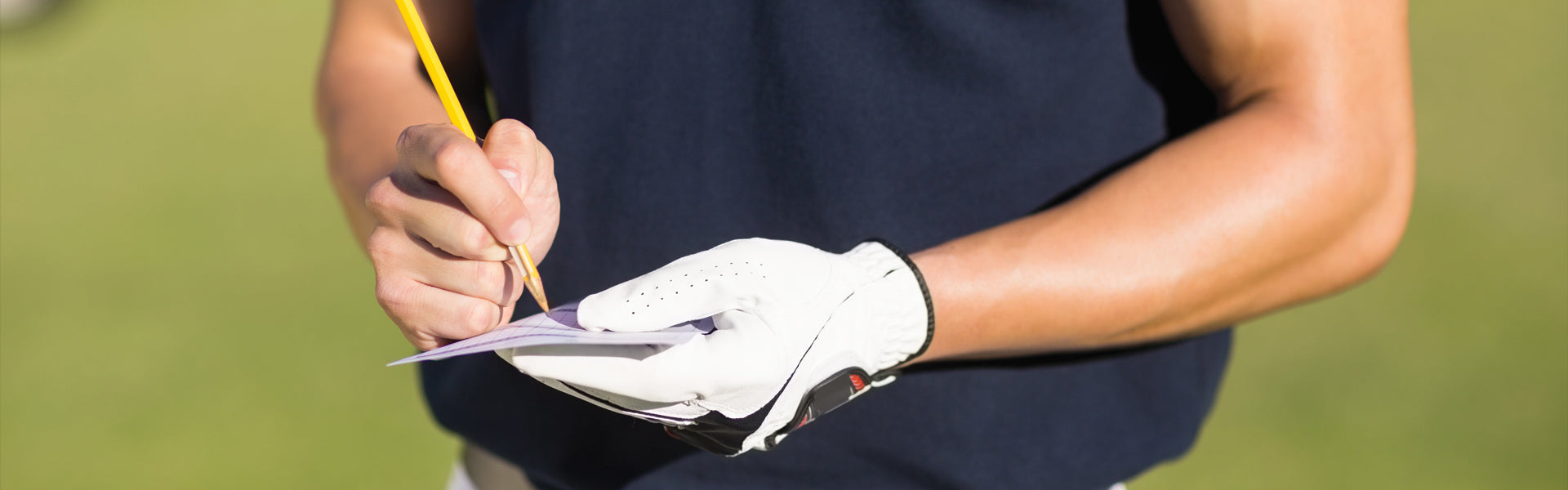 Terms and Conditions